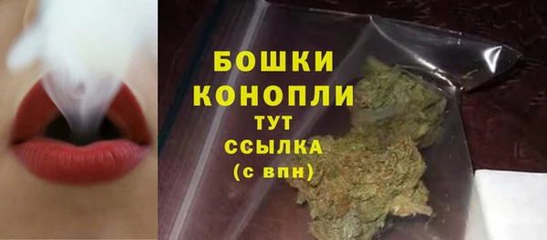 прущие крисы Бородино