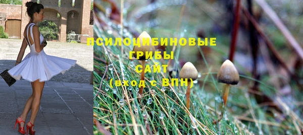 ПСИЛОЦИБИНОВЫЕ ГРИБЫ Бугульма