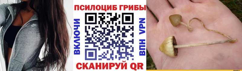 shop телеграм  закладка  Вилюйск  Галлюциногенные грибы мухоморы 